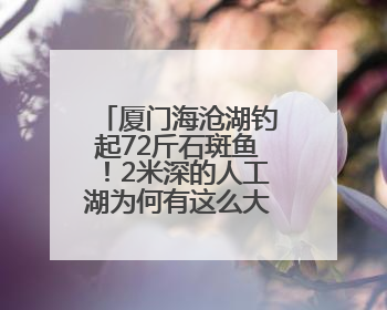 厦门海沧湖钓起72斤石斑鱼！2米深的人工湖为何有这么大的鱼？