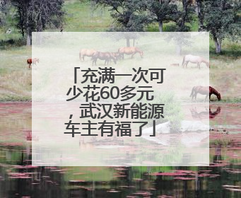 充满一次可少花60多元，武汉新能源车主有福了