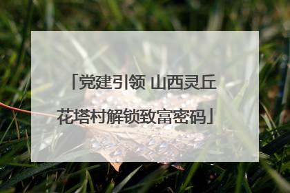 党建引领 山西灵丘花塔村解锁致富密码