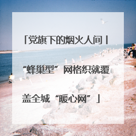 党旗下的烟火人间丨“蜂巢型”网格织就覆盖全城“暖心网”
