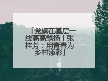 党旗在基层一线高高飘扬丨张桂芳：用青春为乡村添彩