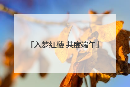 入梦红楼 共度端午