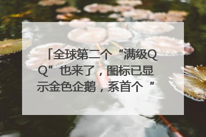 全球第二个“满级QQ”也来了，图标已显示金色企鹅，系首个“满级QQ”的小号