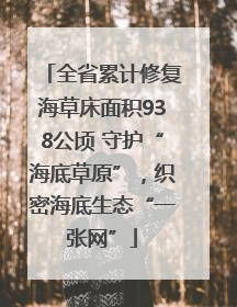 全省累计修复海草床面积938公顷 守护“海底草原”，织密海底生态“一张网”
