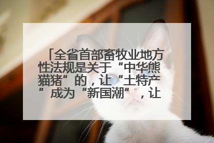 全省首部畜牧业地方性法规是关于“中华熊猫猪”的，让“土特产”成为“新国潮”，让“农产品”升格为“城市IP”