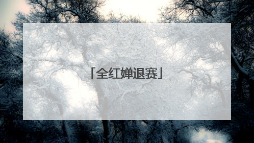 全红婵退赛
