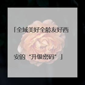 全域美好全龄友好西安的“升级密码”