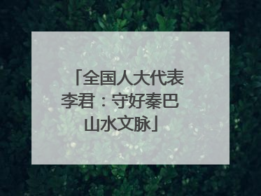 全国人大代表李君：守好秦巴山水文脉