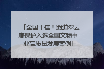 全国十佳！蜀道翠云廊保护入选全国文物事业高质量发展案例
