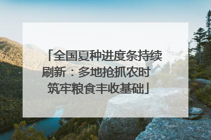 全国夏种进度条持续刷新：多地抢抓农时 筑牢粮食丰收基础