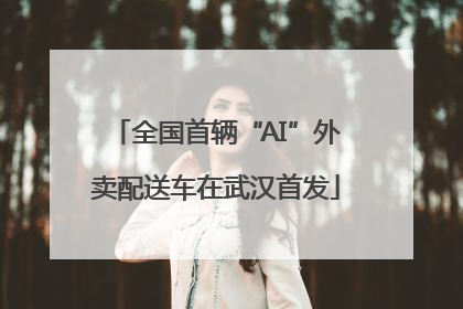 全国首辆“AI”外卖配送车在武汉首发