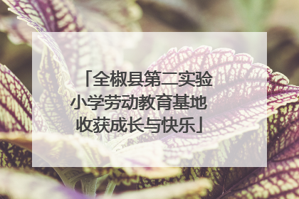 全椒县第二实验小学劳动教育基地收获成长与快乐