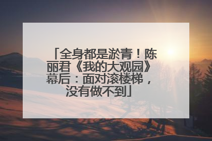 全身都是淤青！陈丽君《我的大观园》幕后：面对滚楼梯，没有做不到