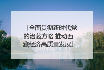 全面贯彻新时代党的治藏方略 推动西藏经济高质量发展