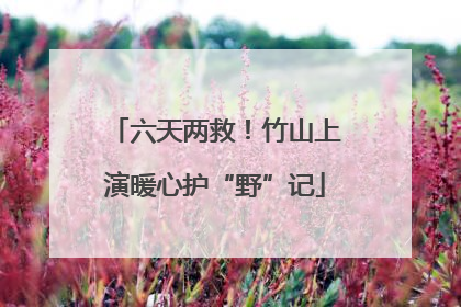 六天两救！竹山上演暖心护“野”记