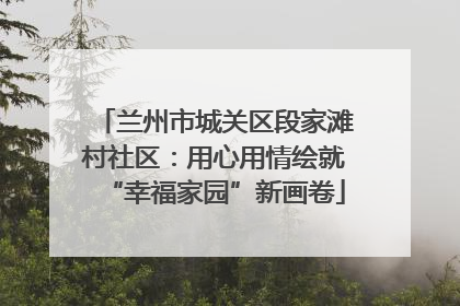 兰州市城关区段家滩村社区：用心用情绘就“幸福家园”新画卷