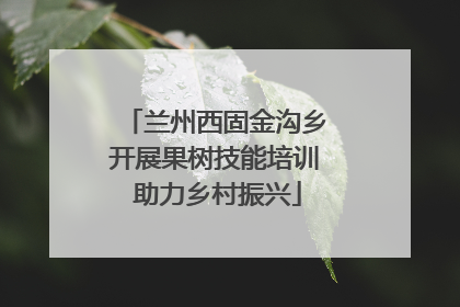 兰州西固金沟乡开展果树技能培训 助力乡村振兴