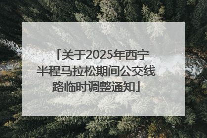 关于2025年西宁半程马拉松期间公交线路临时调整通知