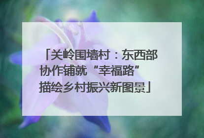 关岭围墙村：东西部协作铺就“幸福路” 描绘乡村振兴新图景