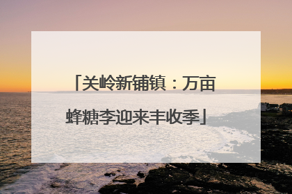 关岭新铺镇：万亩蜂糖李迎来丰收季