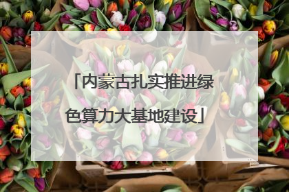 内蒙古扎实推进绿色算力大基地建设