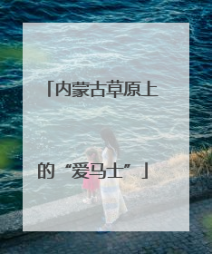 内蒙古草原上的“爱马士”
