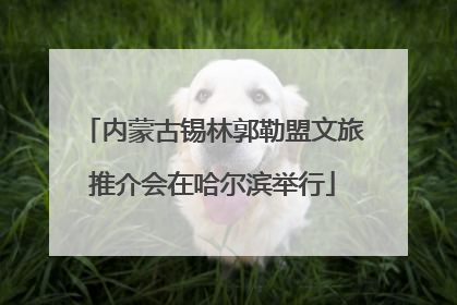 内蒙古锡林郭勒盟文旅推介会在哈尔滨举行