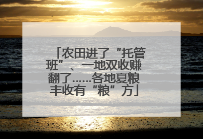 农田进了“托管班”、一地双收赚翻了……各地夏粮丰收有“粮”方