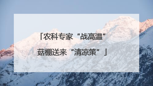 农科专家“战高温” 菇棚送来“清凉策”