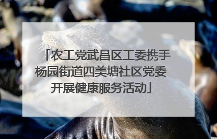 农工党武昌区工委携手杨园街道四美塘社区党委开展健康服务活动