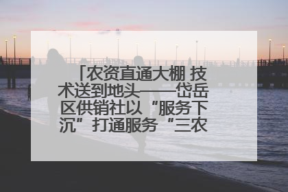 农资直通大棚 技术送到地头——岱岳区供销社以“服务下沉”打通服务“三农”最后一公里