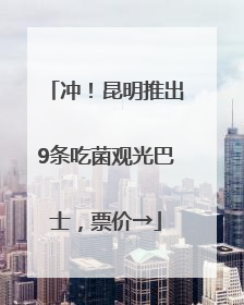 冲！昆明推出9条吃菌观光巴士，票价→
