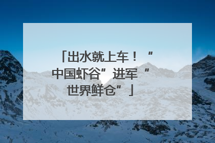 出水就上车！“中国虾谷”进军“世界鲜仓”