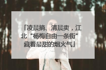 凌晨摘、清晨卖，江北“杨梅自由一条街”藏着最甜的烟火气