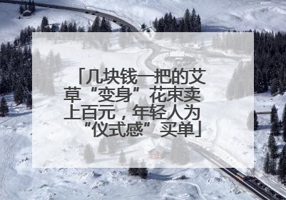 几块钱一把的艾草“变身”花束卖上百元，年轻人为“仪式感”买单