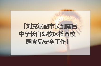 刘克斌副市长到南昌中学长白岛校区检查校园食品安全工作