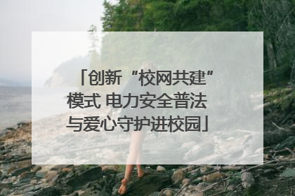 创新“校网共建”模式 电力安全普法与爱心守护进校园