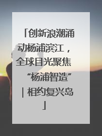 创新浪潮涌动杨浦滨江，全球目光聚焦“杨浦智造”｜相约复兴岛