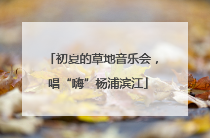 初夏的草地音乐会，唱“嗨”杨浦滨江