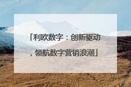 利欧数字：创新驱动，领航数字营销浪潮