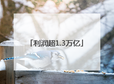 利润超1.3万亿