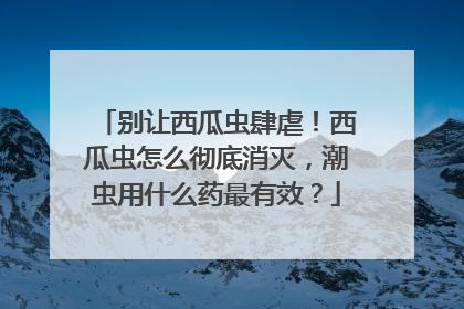 别让西瓜虫肆虐！西瓜虫怎么彻底消灭，潮虫用什么药最有效？