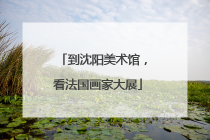 到沈阳美术馆，看法国画家大展