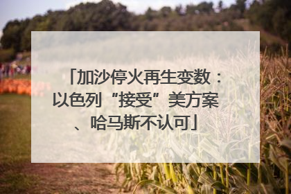 加沙停火再生变数：以色列“接受”美方案、哈马斯不认可