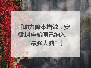 助力降本增效，安徽14座船闸已纳入“最强大脑”