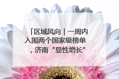 区域风向｜一周内入围两个国家级榜单，济南“显性增长”刷新城市影响力