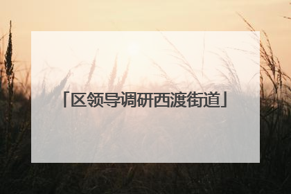 区领导调研西渡街道