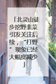北灵山徒步挖野韭菜引发关注后续，“打野”现象已经大幅度减少