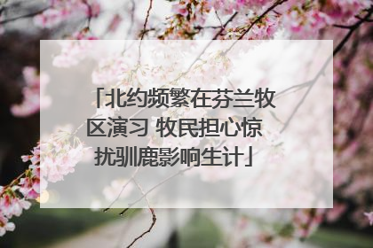 北约频繁在芬兰牧区演习 牧民担心惊扰驯鹿影响生计
