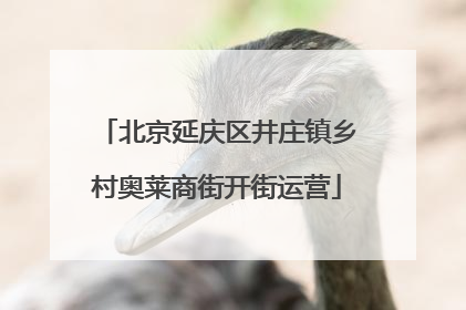 北京延庆区井庄镇乡村奥莱商街开街运营